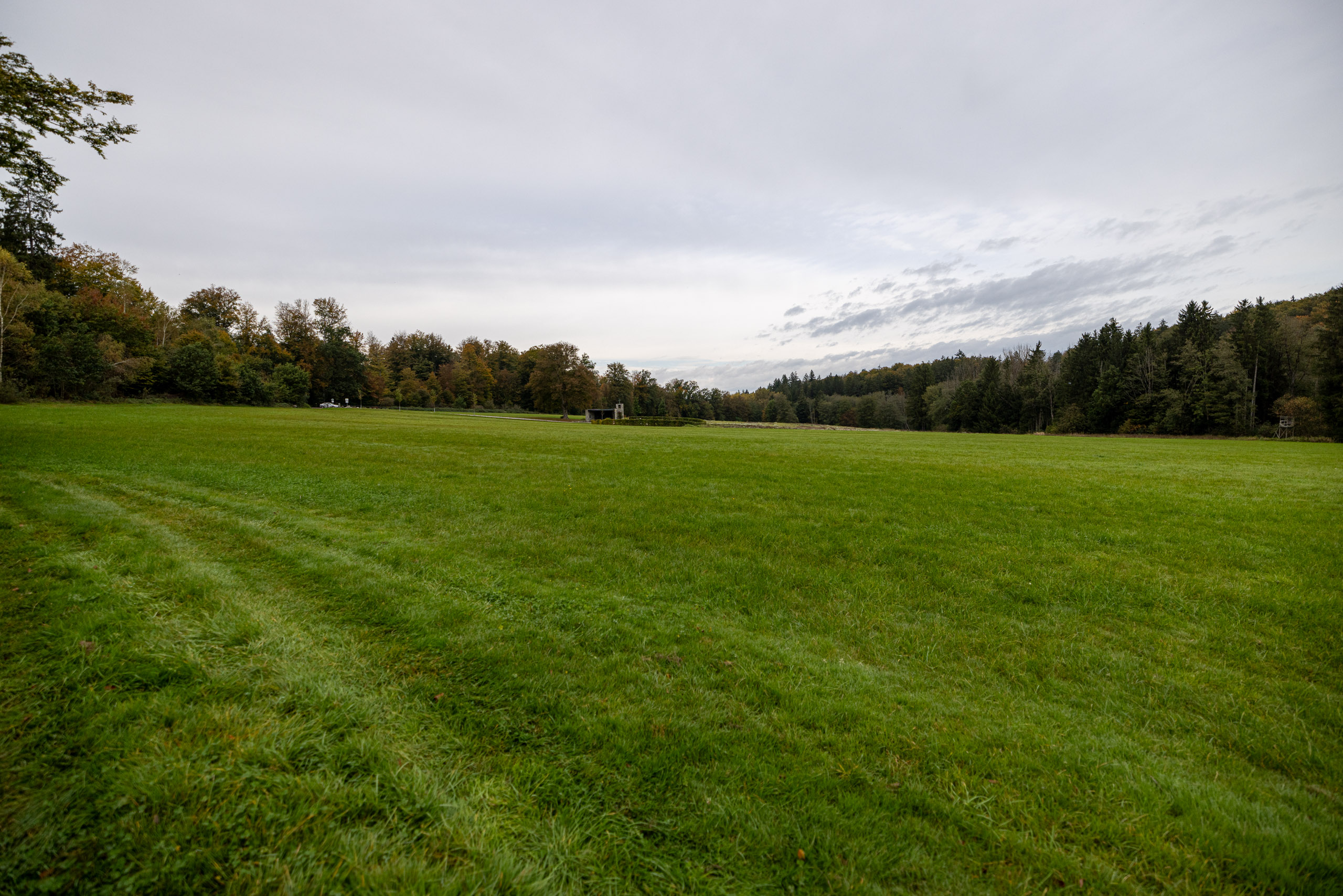 20231014114420 R5D 3994